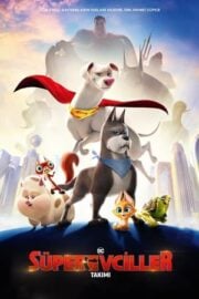 DC Süper Evciller Takımı imdb puanı