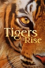 Tigers on the Rise Türkçe dublaj izle
